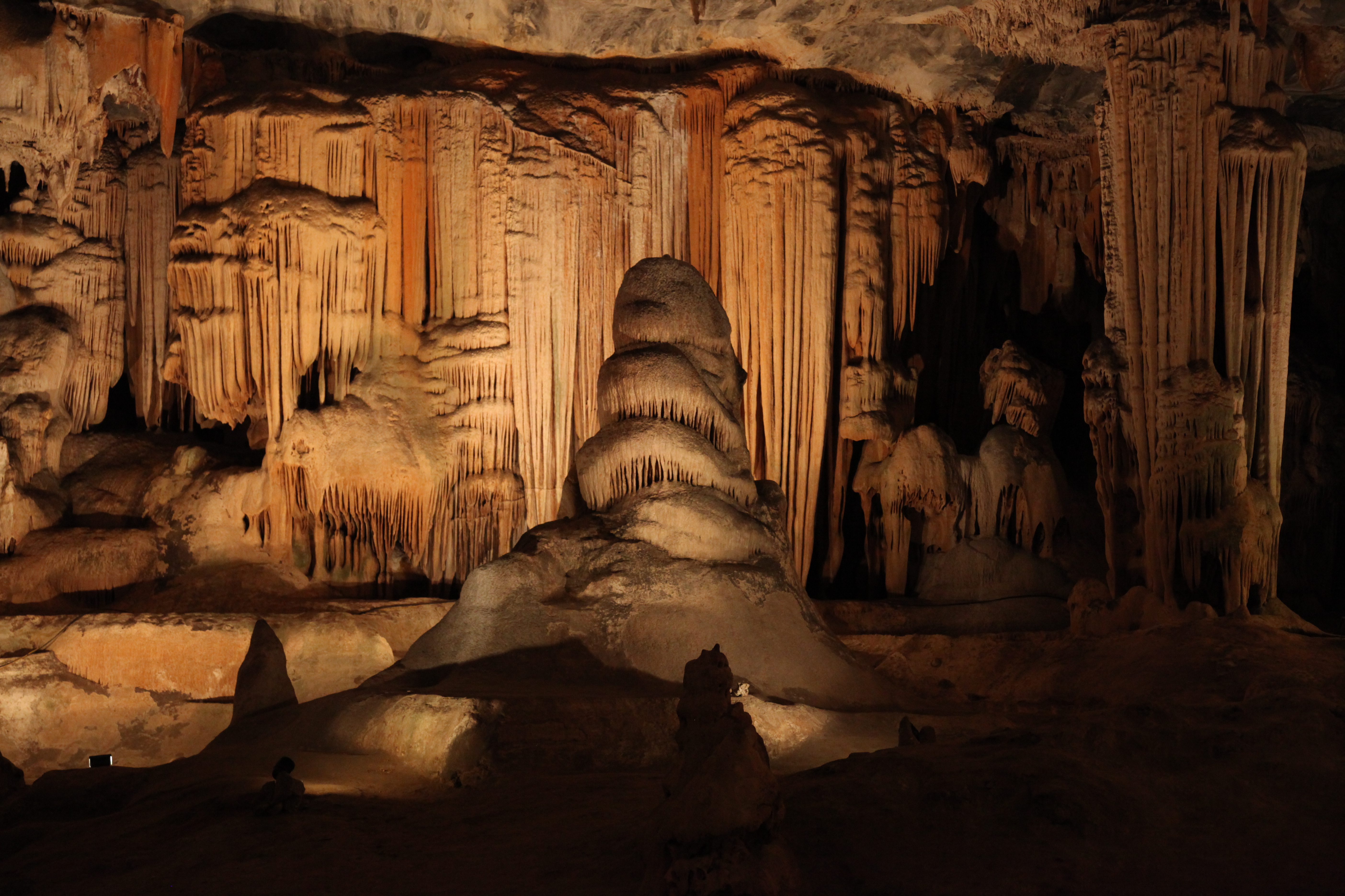 Oudtshoorn Full-Day Garden Route tour — Airport-Chauffeur Knysna